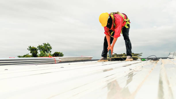 Best Roof Moss and Algae Removal  in Chenango Bridge, NY