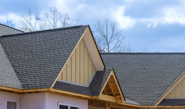 Best Chimney Flashing Repair  in Chenango Bridge, NY