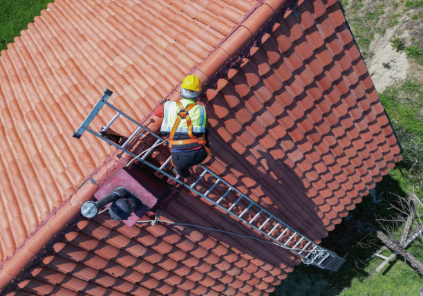 Best Cold Roofs  in Chenango Bridge, NY