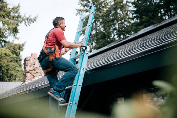 Best Sheet Metal Roofing  in Chenango Bridge, NY