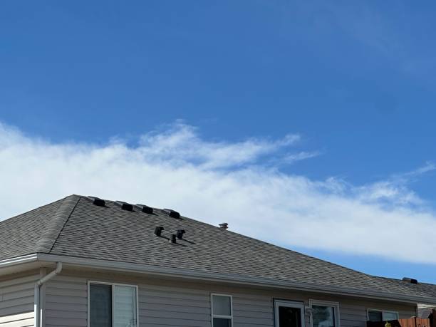 Best Asphalt Shingle Roofing  in Chenango Bridge, NY
